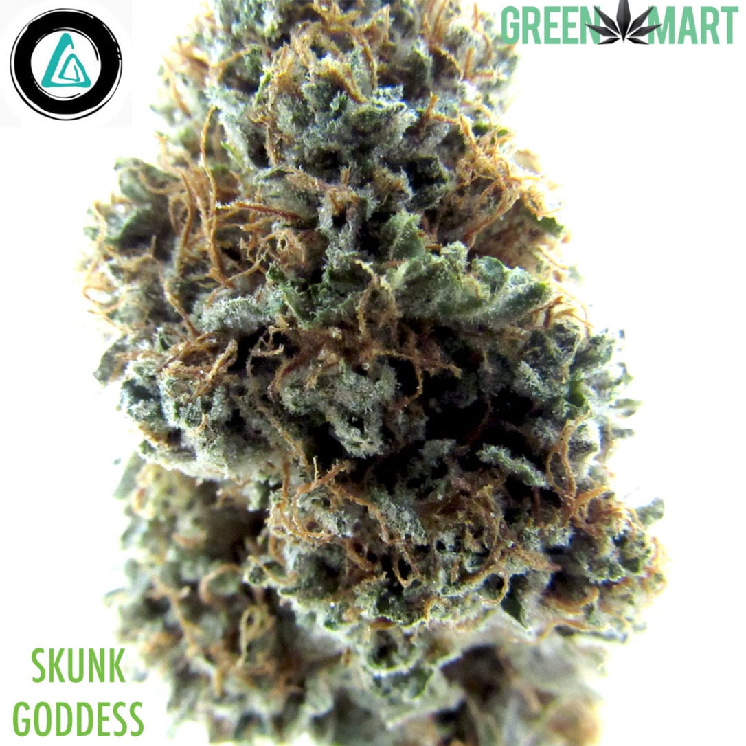GM Dispensary | Beaverton – Oregon’s Best Dispensary
