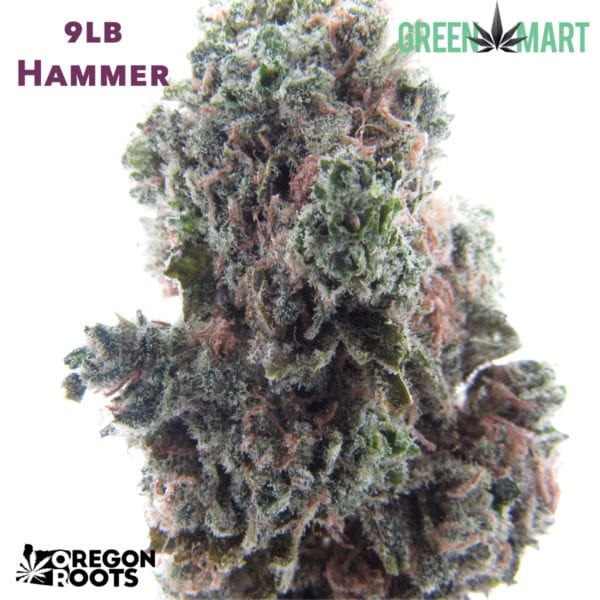 9lb Hammer - Oregon Roots