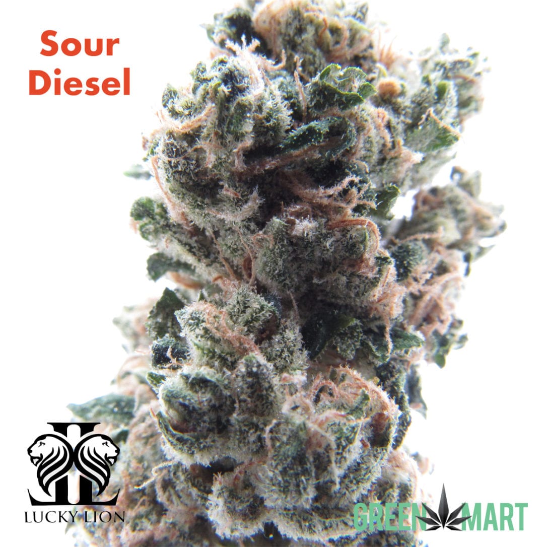 GM Dispensary | Beaverton – Oregon’s Best Dispensary
