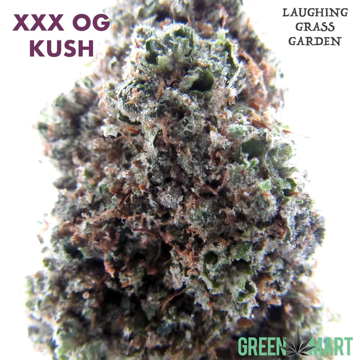 GM Dispensary | Beaverton – Oregon’s Best Dispensary