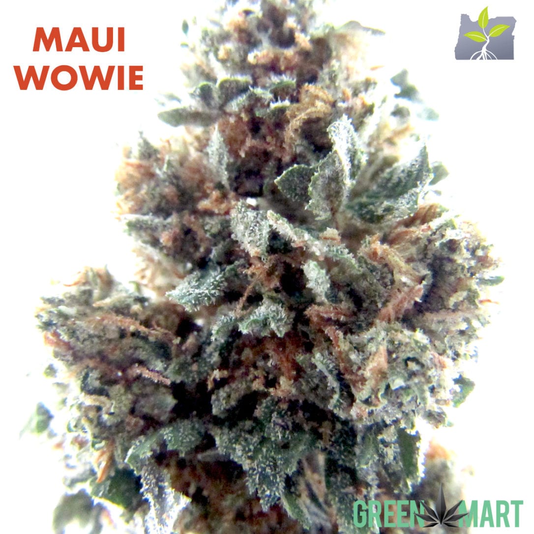 GM Dispensary | Beaverton – Oregon’s Best Dispensary