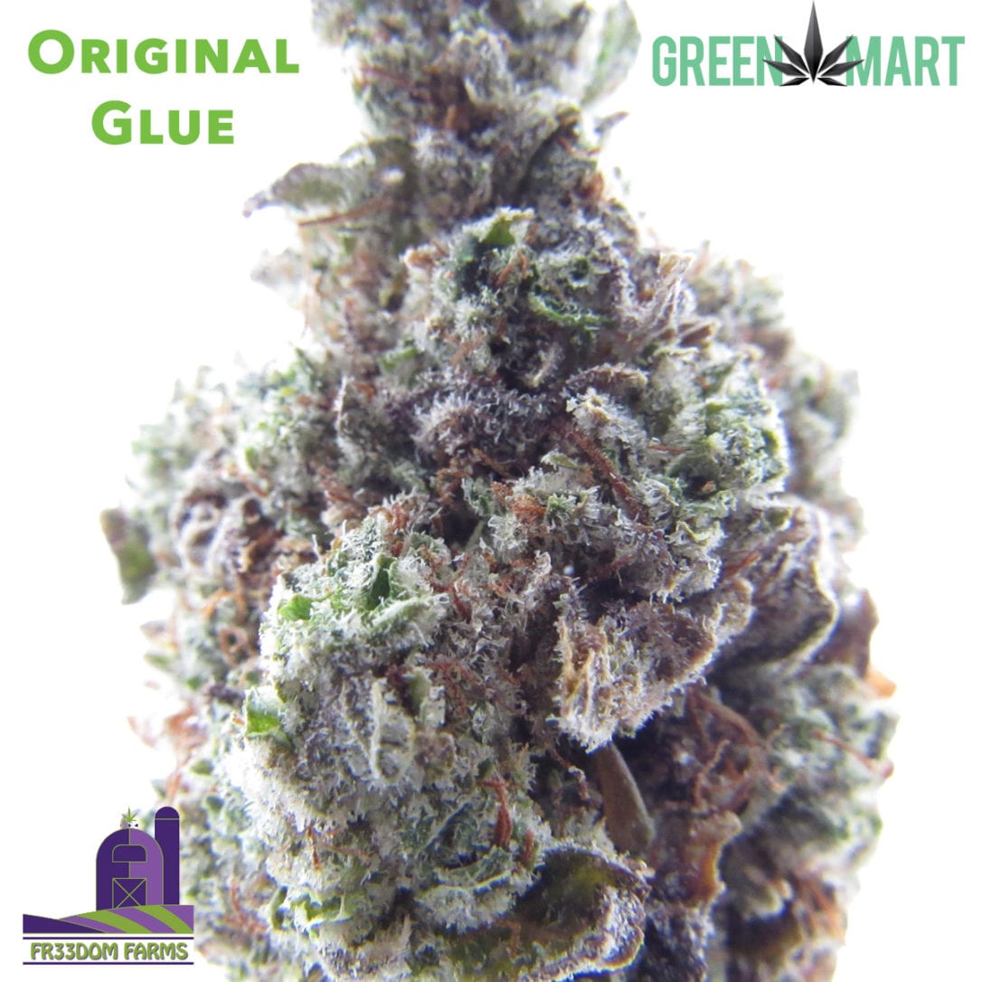 GM Dispensary | Beaverton – Oregon’s Best Dispensary