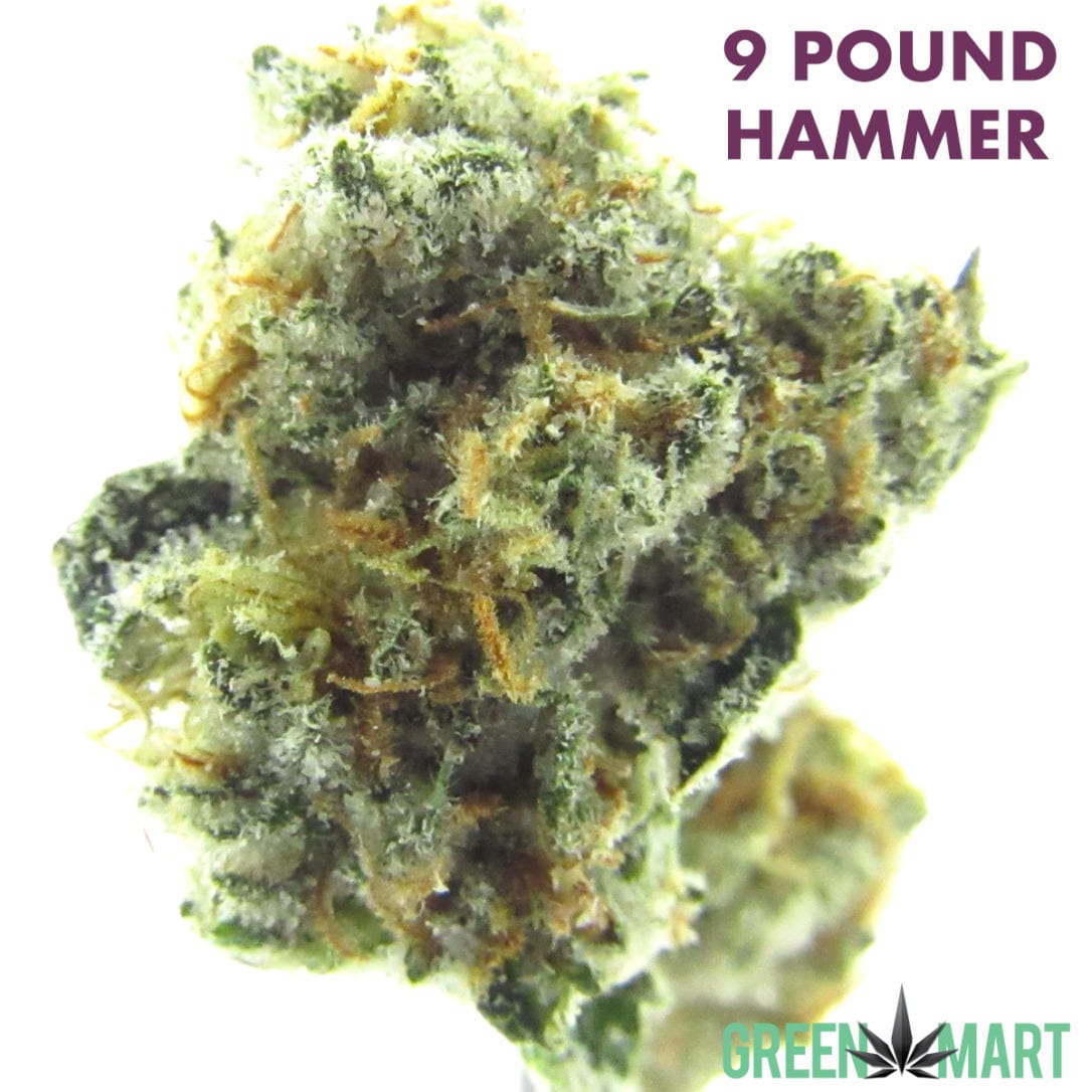 GM Dispensary | Beaverton – Oregon’s Best Dispensary