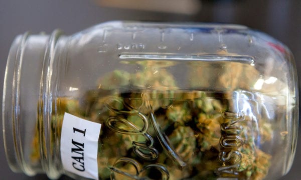 Surprise, Surprise: Polls Show Americans Are Excited About Legal Marijuana