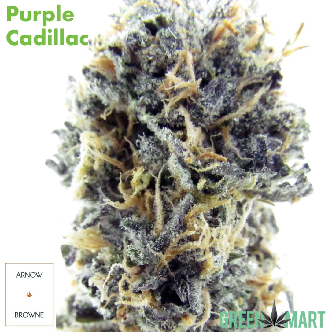 GM Dispensary | Beaverton – Oregon’s Best Dispensary