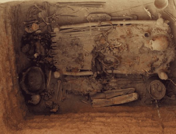 2700-year-old weed found in an Asian grave is still totally smokeable