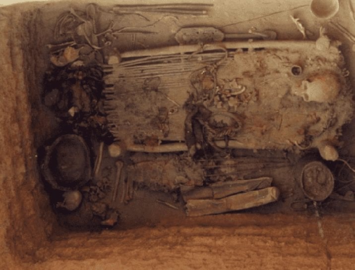 2700-year-old weed found in an Asian grave is still totally smokeable