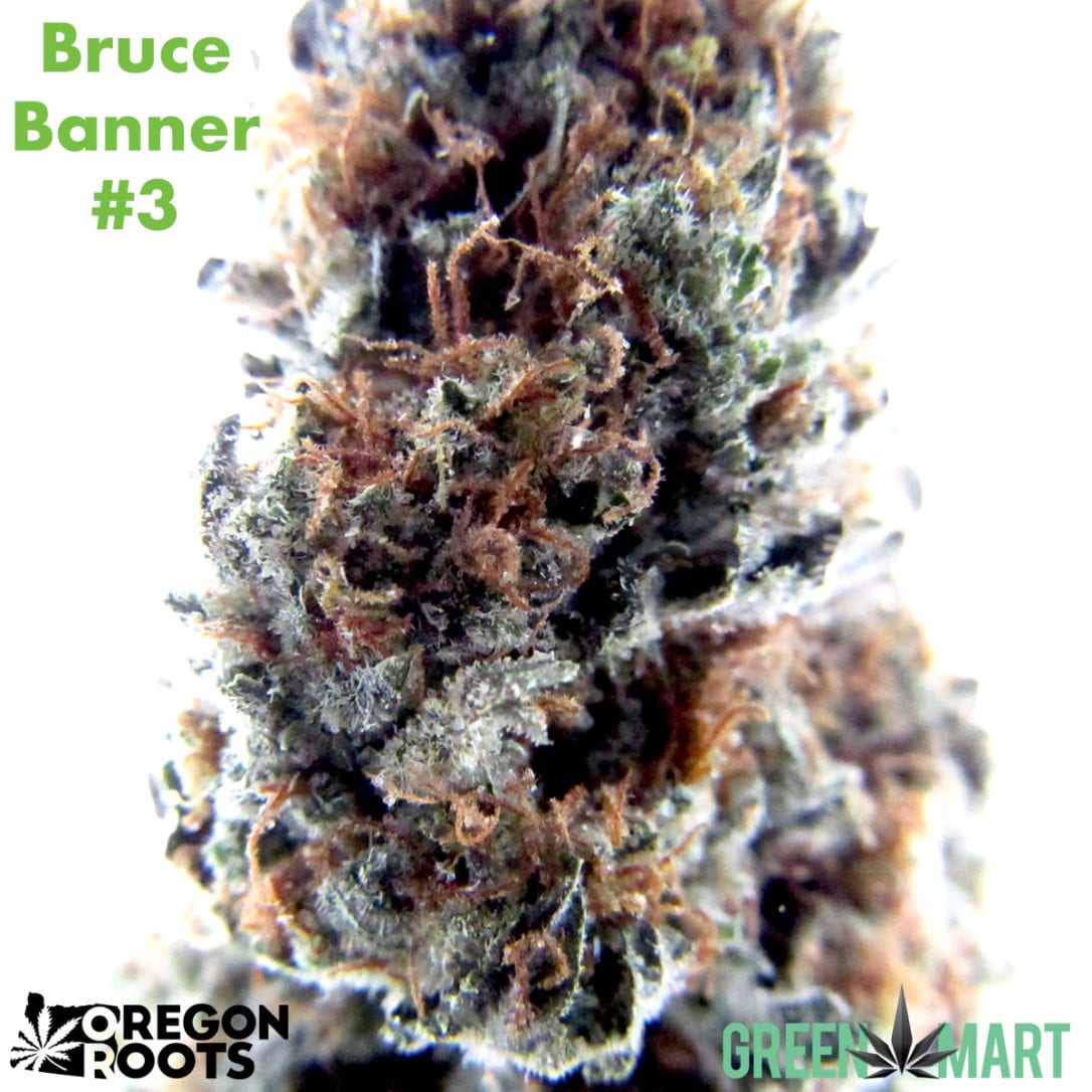 GM Dispensary | Beaverton – Oregon’s Best Dispensary