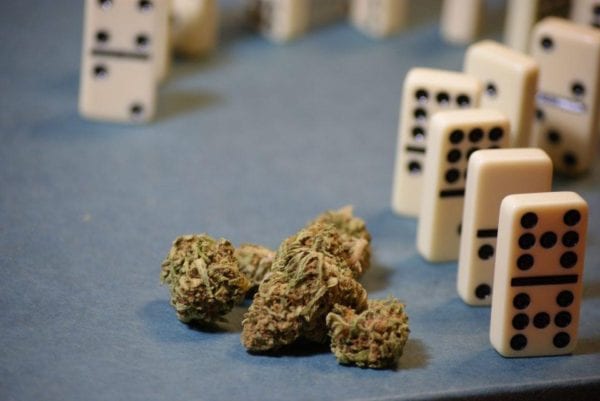 Worldwide Marijuana Conferences Confirm The Business Of Weed Is Officially Legit