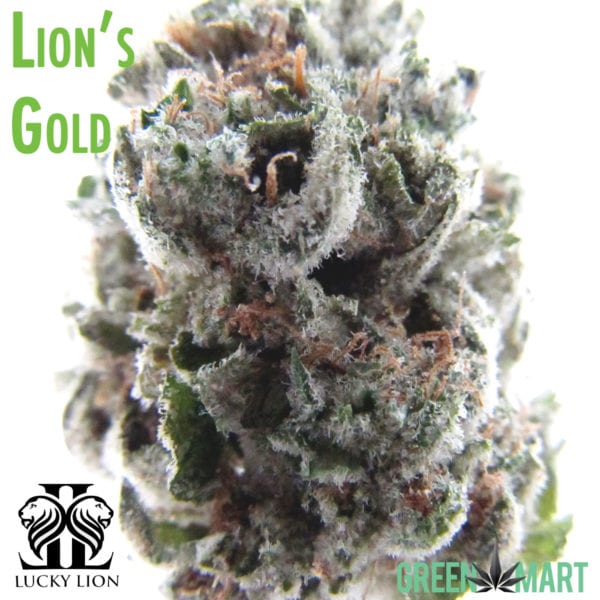 Lucky Lion - Lion's Gold