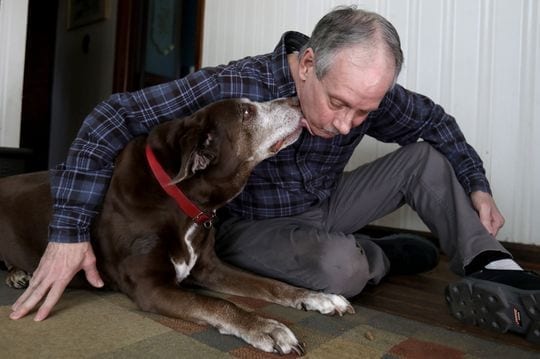 Brad Stottlemyer, 65 of Dearborn Heights with his 11-year-old chocolate lab mix Misty in their home on Thursday, March 7, 2019. Misty has bone cancer in her right front bone joint and the Essential CBD pet drops, a marijuana-based product has helped her not limp as much and become more active. The dog is also on medicine in pill form to help with her bone cancer. (Photo: Eric Seals, Detroit Free Press)