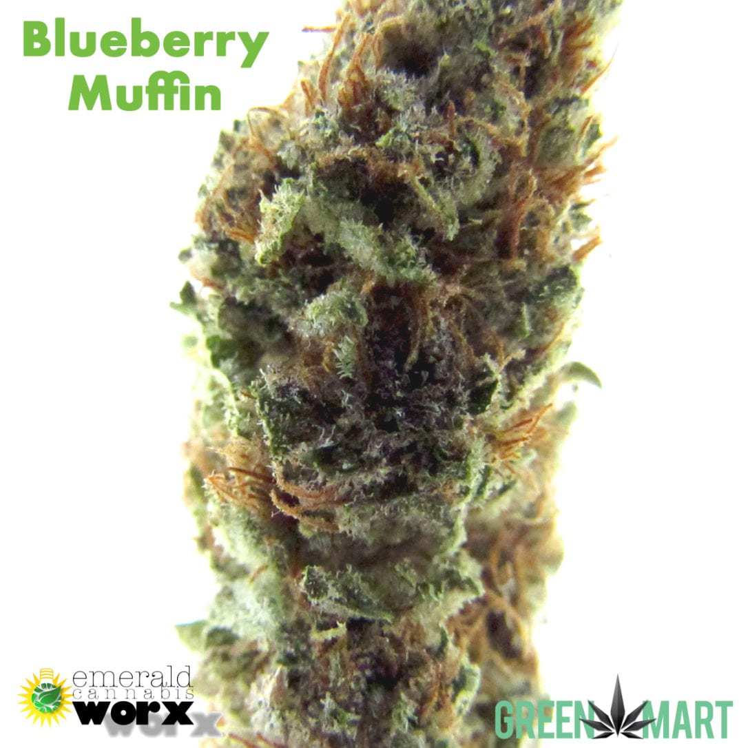 GM Dispensary | Beaverton – Oregon’s Best Dispensary