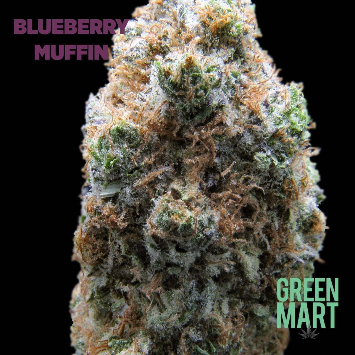 GM Dispensary | Beaverton – Oregon’s Best Dispensary