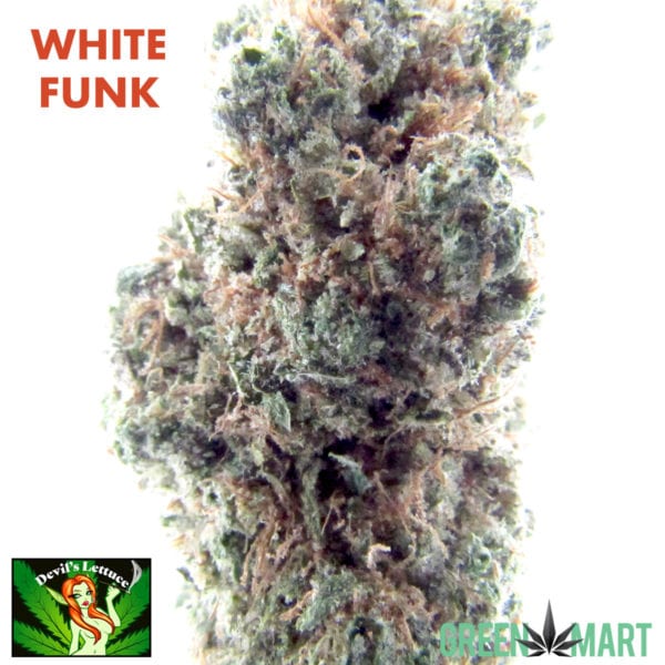 White Funk grown by Devil's Lettuce Sativa