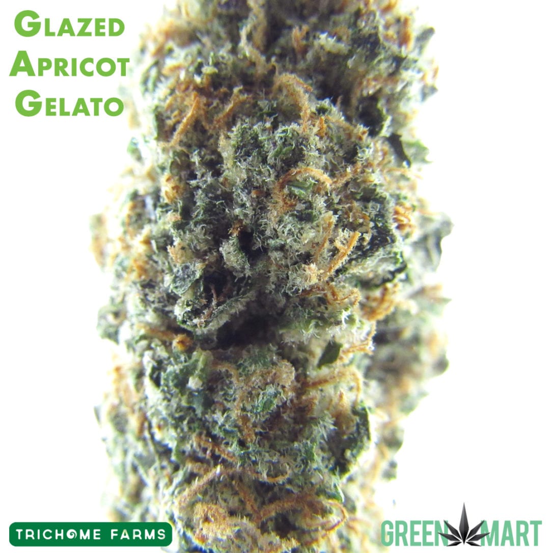 GM Dispensary | Beaverton – Oregon’s Best Dispensary