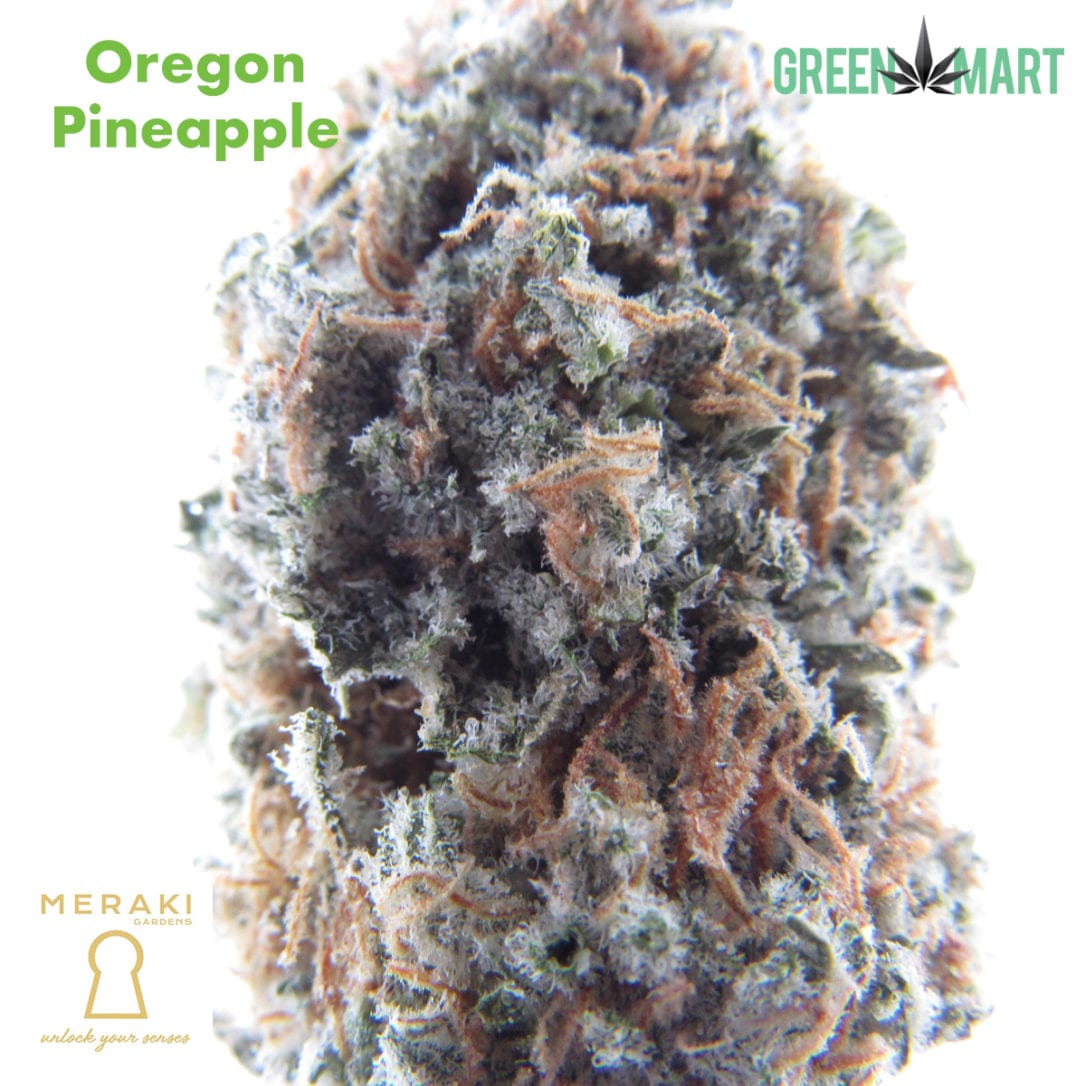 GM Dispensary | Beaverton – Oregon’s Best Dispensary