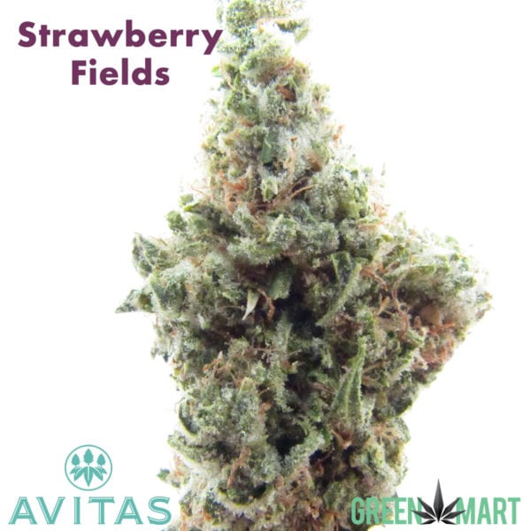 Avitas - Strawberry Fields