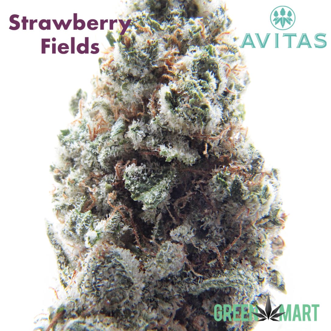 GM Dispensary | Beaverton – Oregon’s Best Dispensary