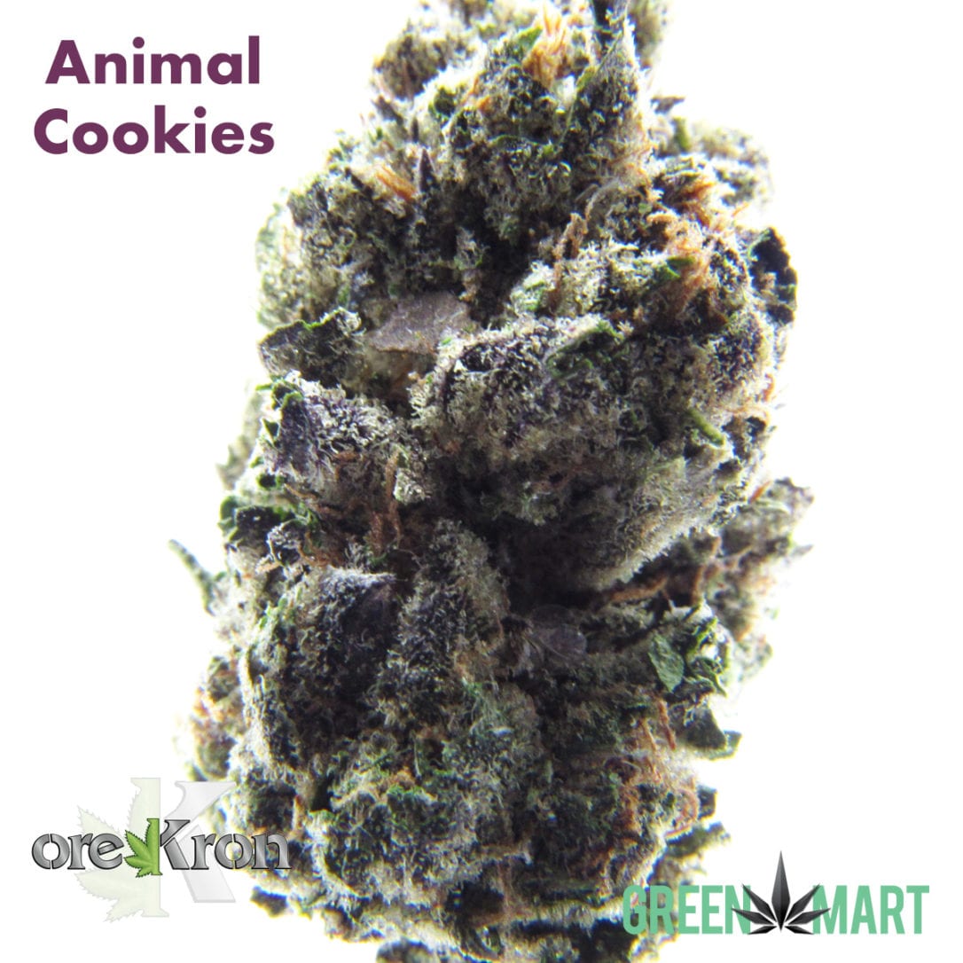 GM Dispensary | Beaverton – Oregon’s Best Dispensary