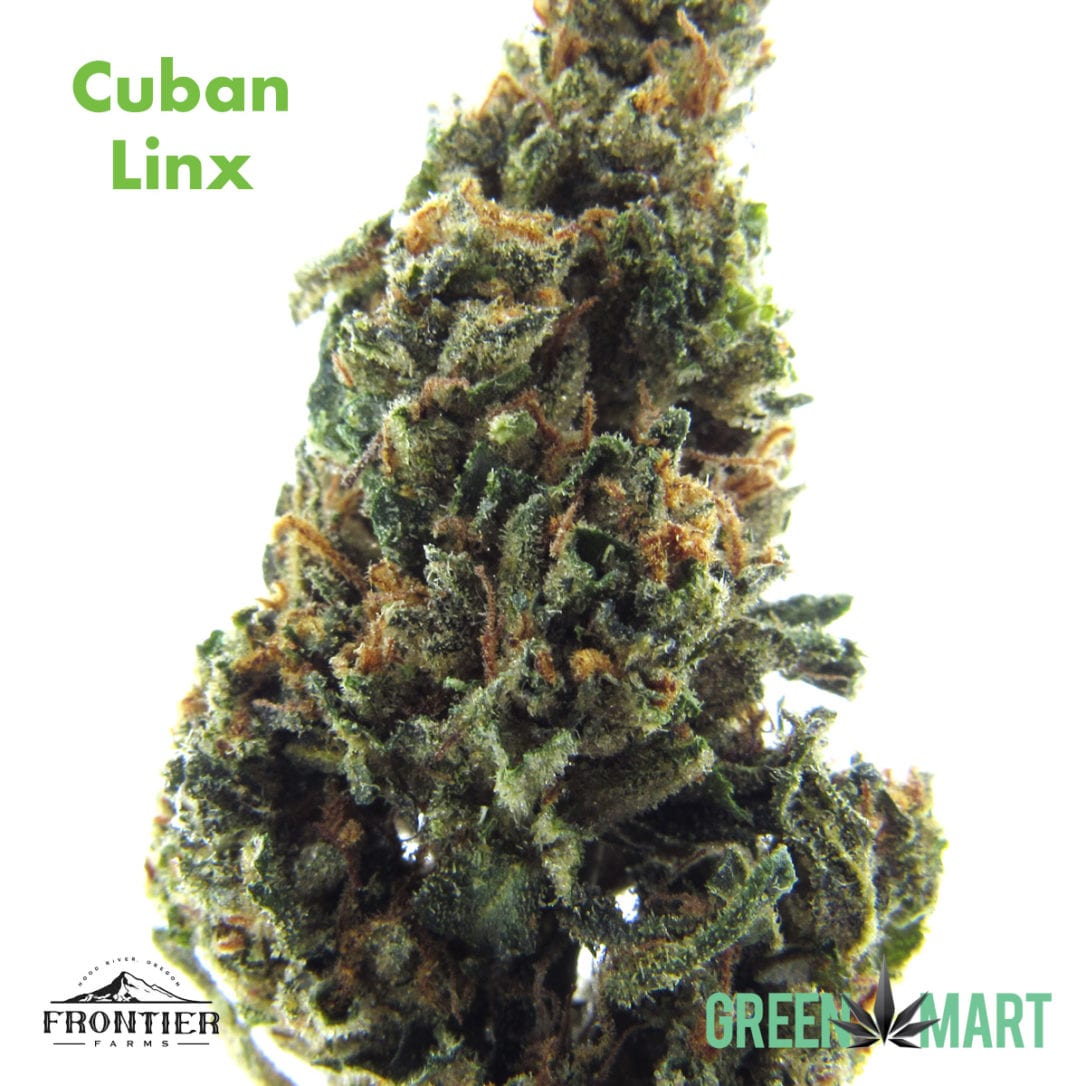 GM Dispensary | Beaverton – Oregon’s Best Dispensary