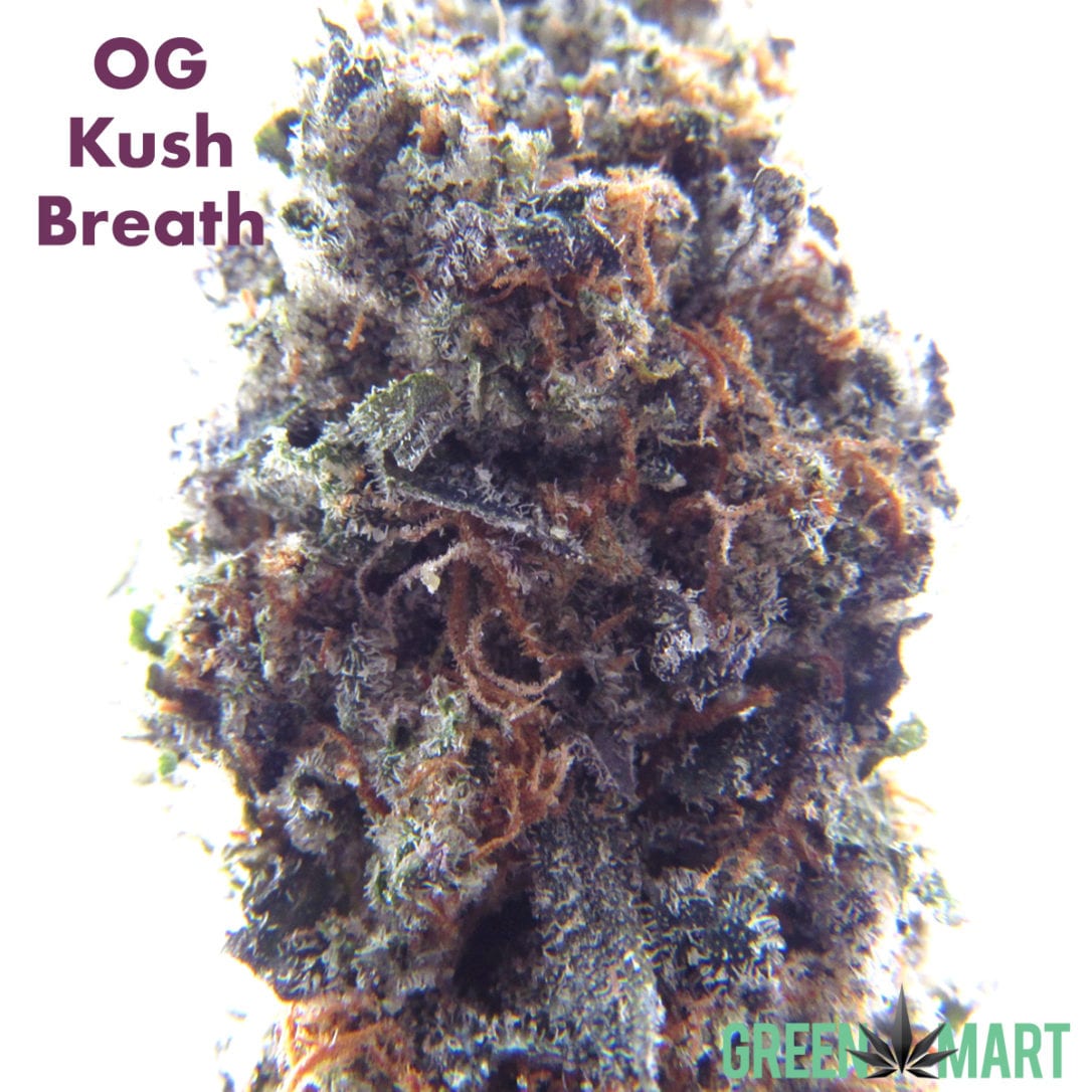GM Dispensary | Beaverton – Oregon’s Best Dispensary