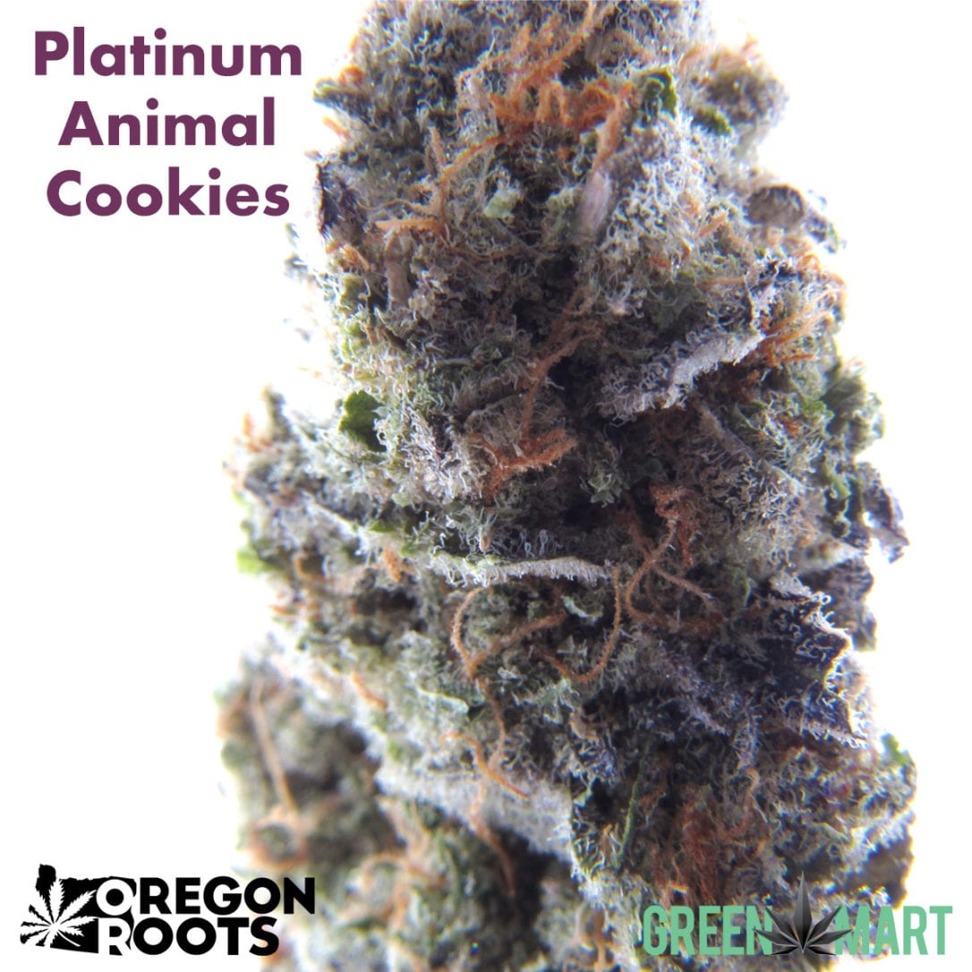 GM Dispensary | Beaverton – Oregon’s Best Dispensary