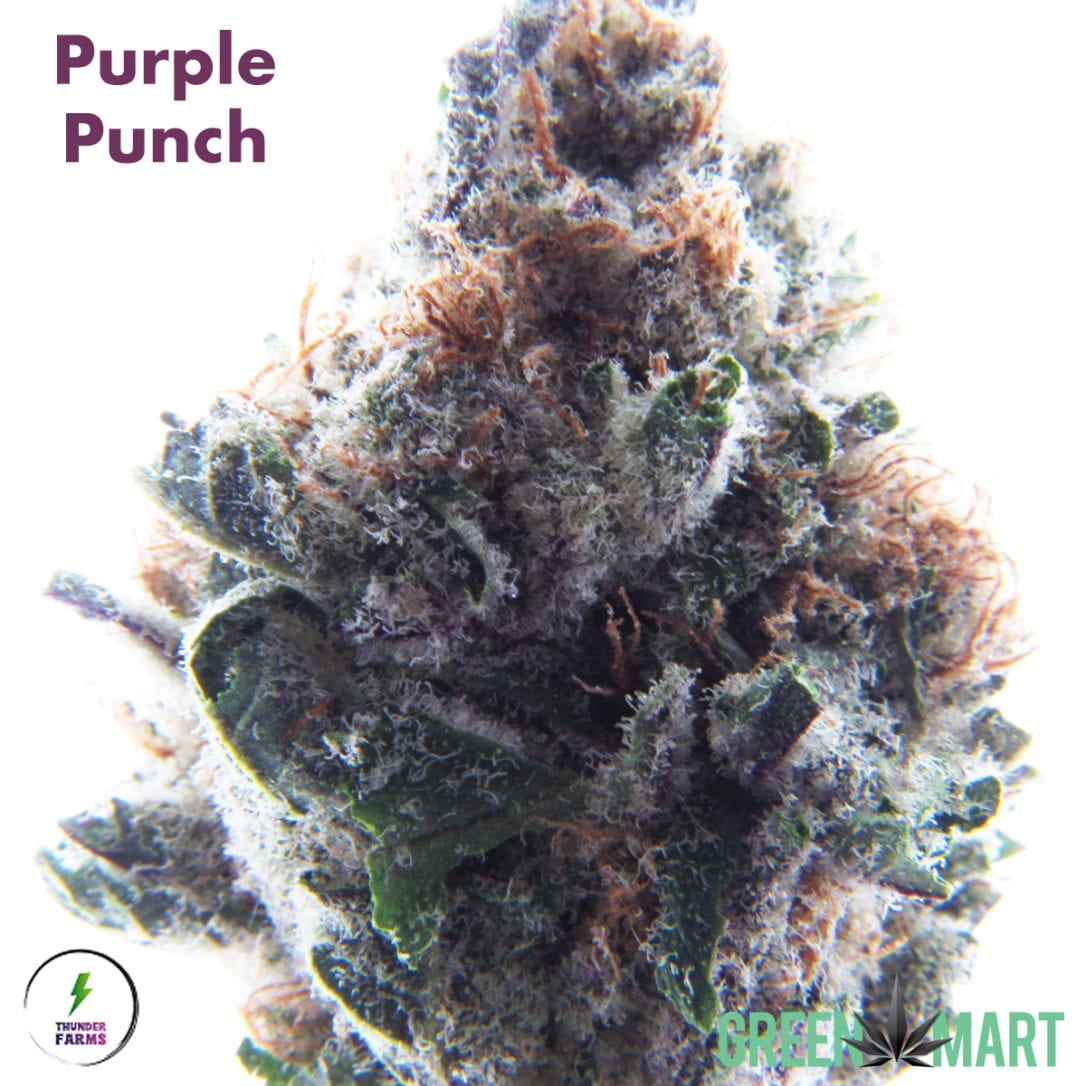 GM Dispensary | Beaverton – Oregon’s Best Dispensary