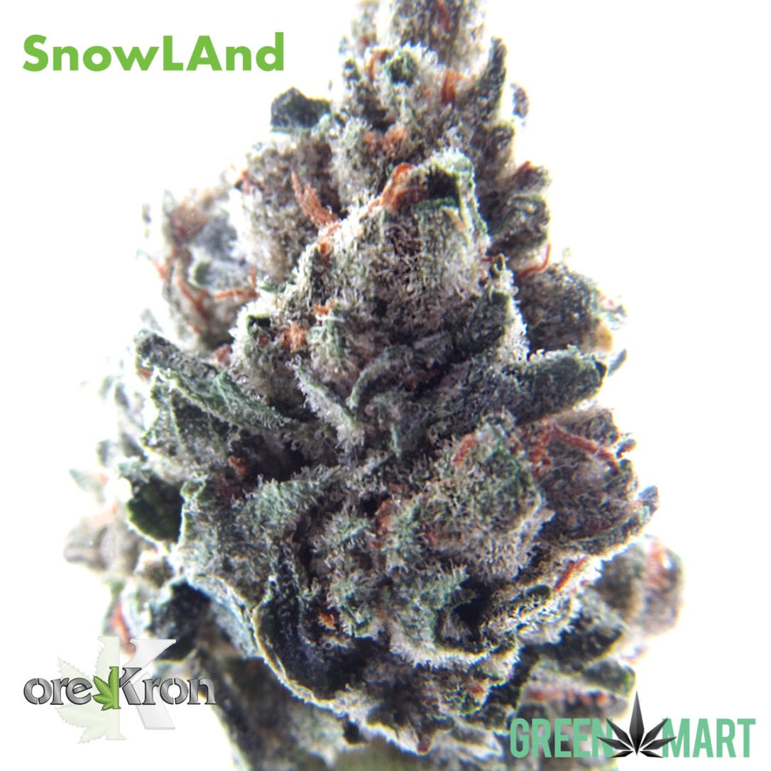 GM Dispensary | Beaverton – Oregon’s Best Dispensary