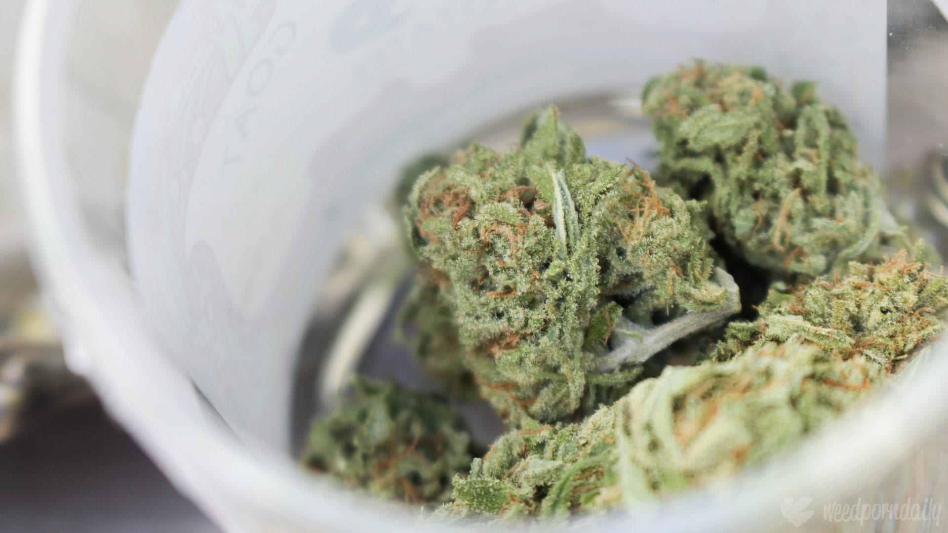 Photo Credit: WeedPornDaily