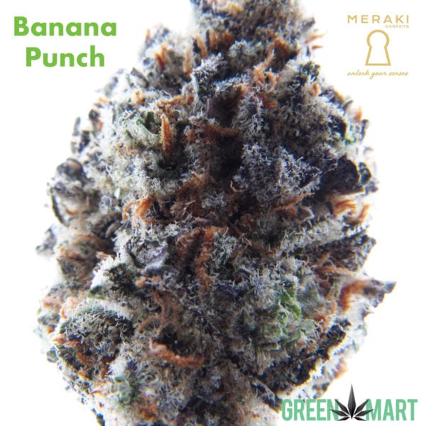 Banana Punch by Meraki Gardens