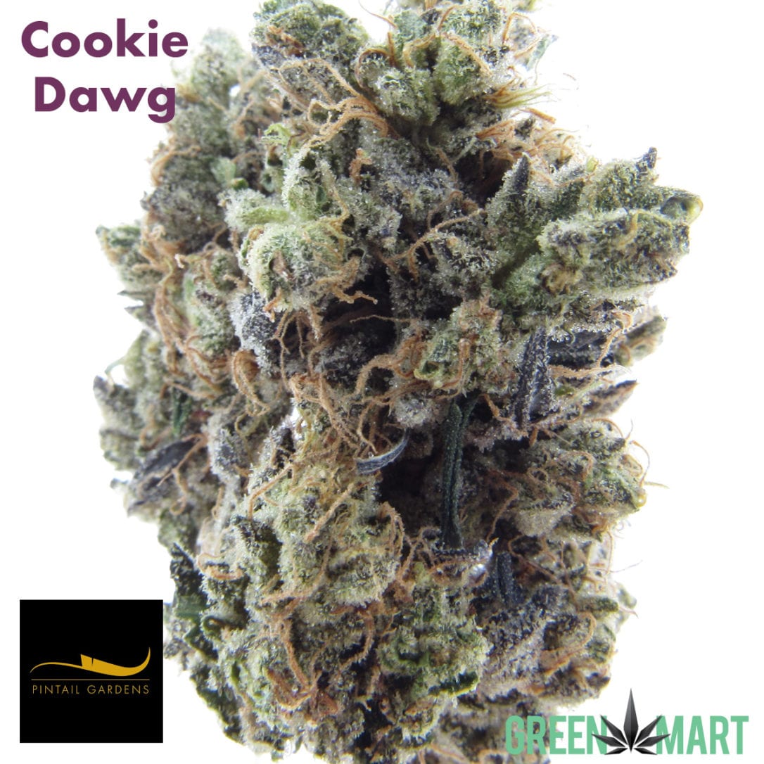 GM Dispensary | Beaverton – Oregon’s Best Dispensary