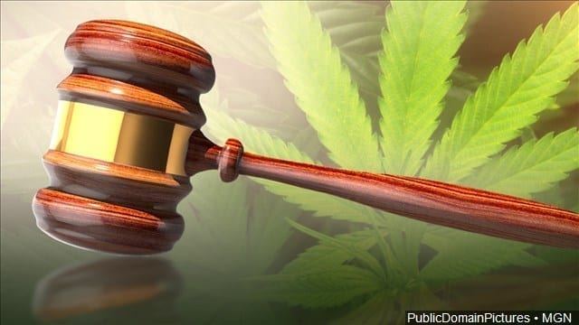 GOV. IVEY SIGNS ALABAMA MEDICAL MARIJUANA BILL INTO LAW