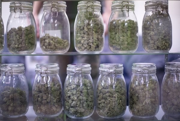A display at Mountain View Naturals, a retail marijuana shop in Hood River on March 14, 2016.