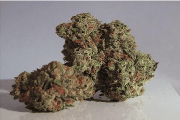 Florida lawmakers file bill to legalize recreational marijuana for adults over 21