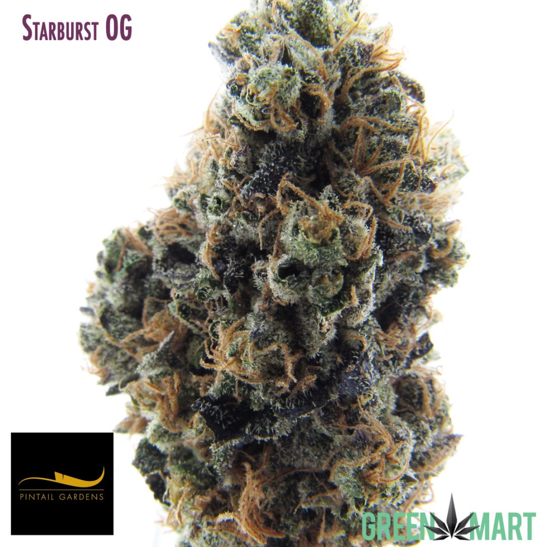 GM Dispensary | Beaverton – Oregon’s Best Dispensary