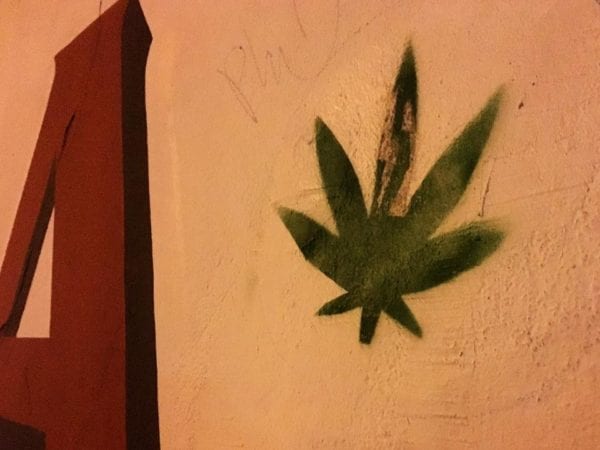 Cannabis In CollegeJAVIER HASSE (INSTAGRAM.COM/JAVIERHASSE)