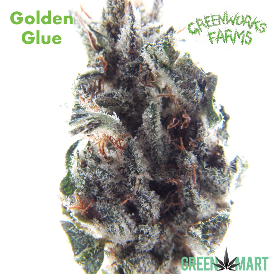 GM Dispensary | Beaverton – Oregon’s Best Dispensary