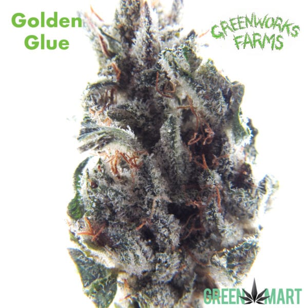 Golden Glue by Greenworks Farms