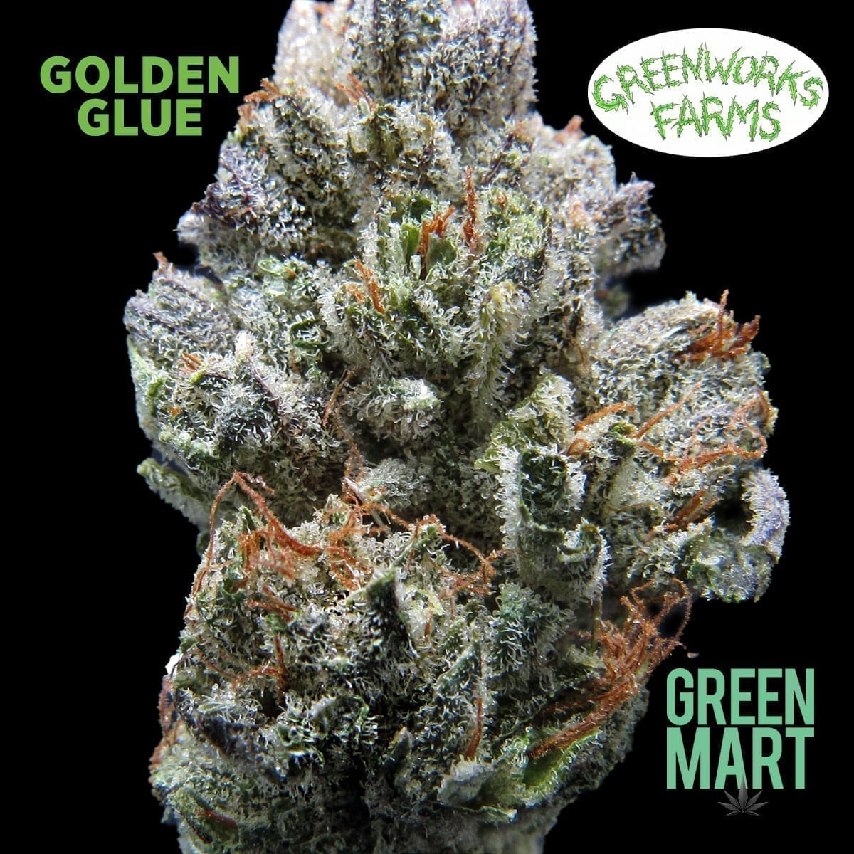 GM Dispensary | Beaverton – Oregon’s Best Dispensary