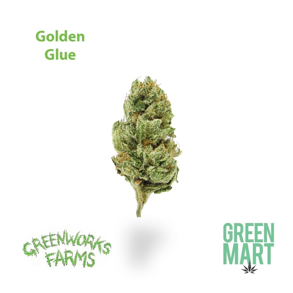 GM Dispensary | Beaverton – Oregon’s Best Dispensary