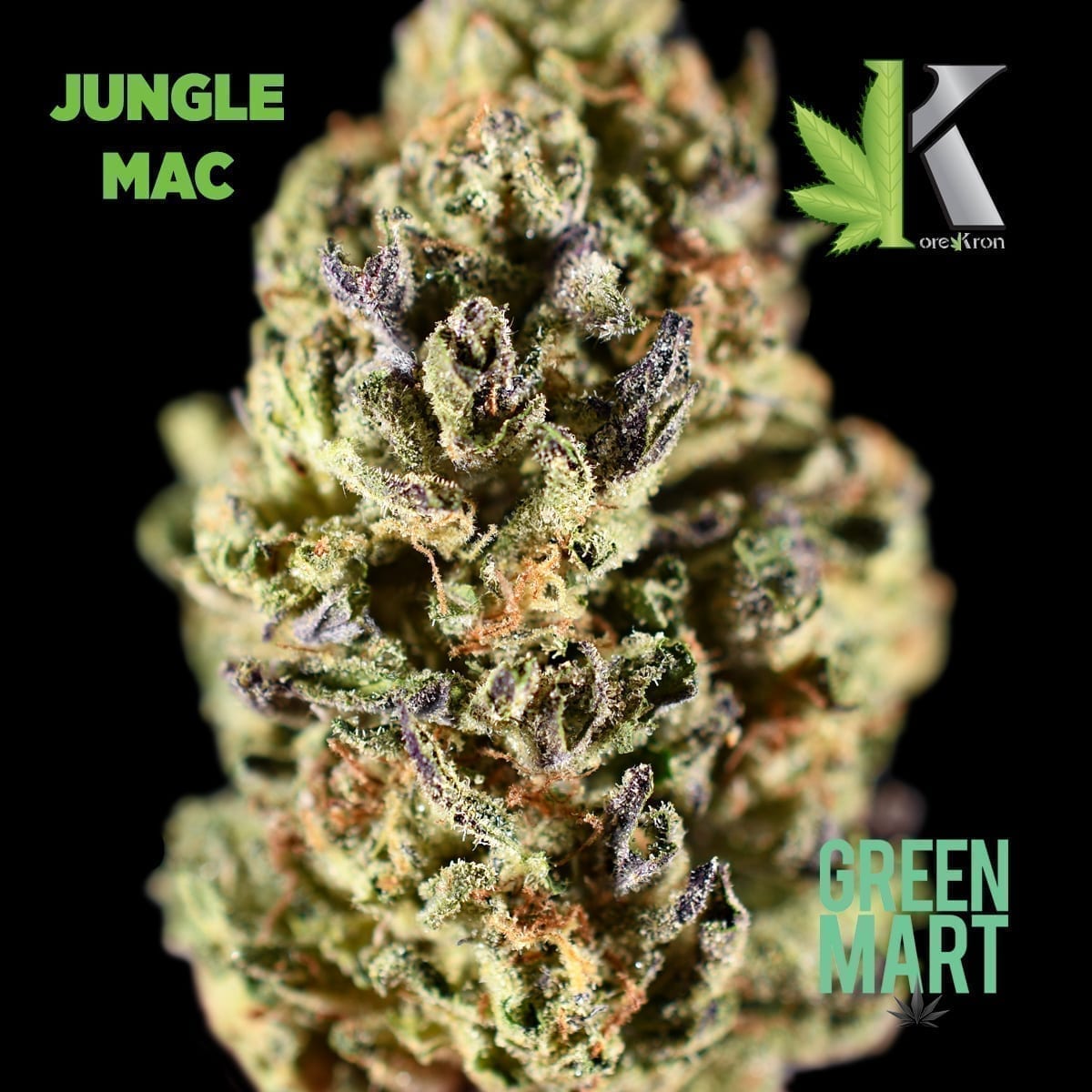 GM Dispensary | Beaverton – Oregon’s Best Dispensary