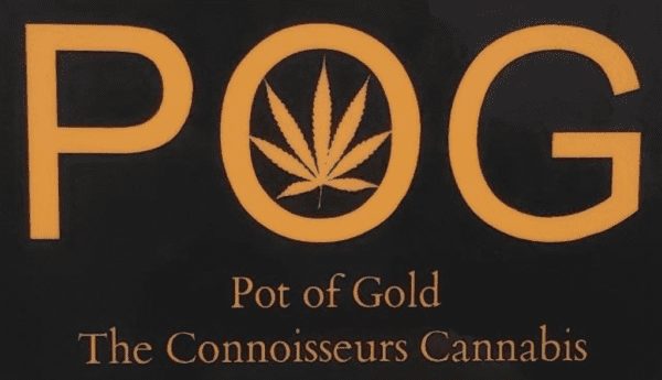 Pot of Gold Logo
