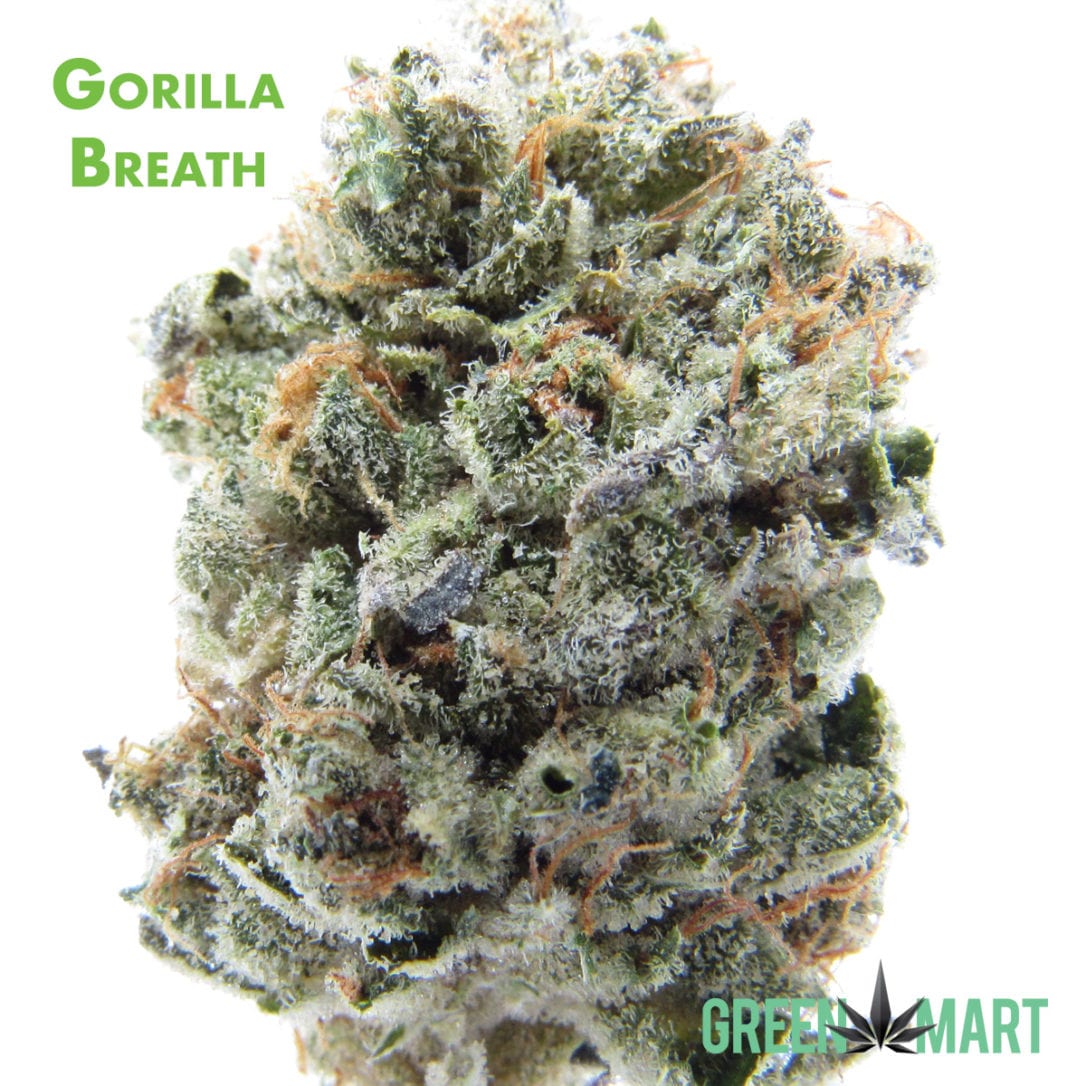 GM Dispensary | Beaverton – Oregon’s Best Dispensary