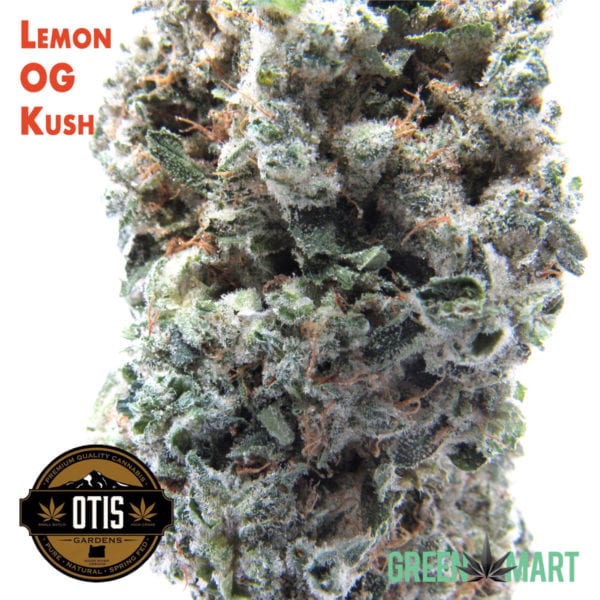 Lemon OG Kush by Otis Gardens