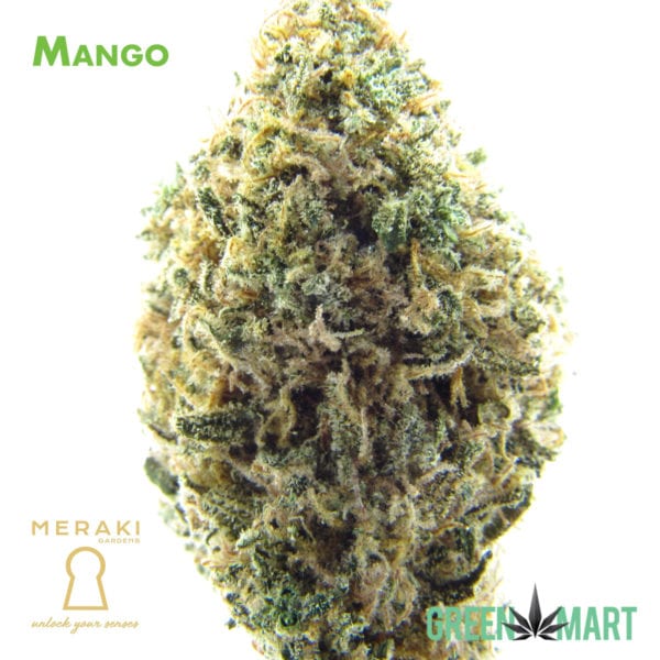 Mango by Meraki Gardens