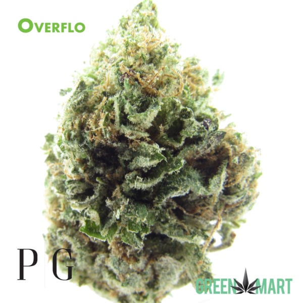Overflo by Pacific Grove