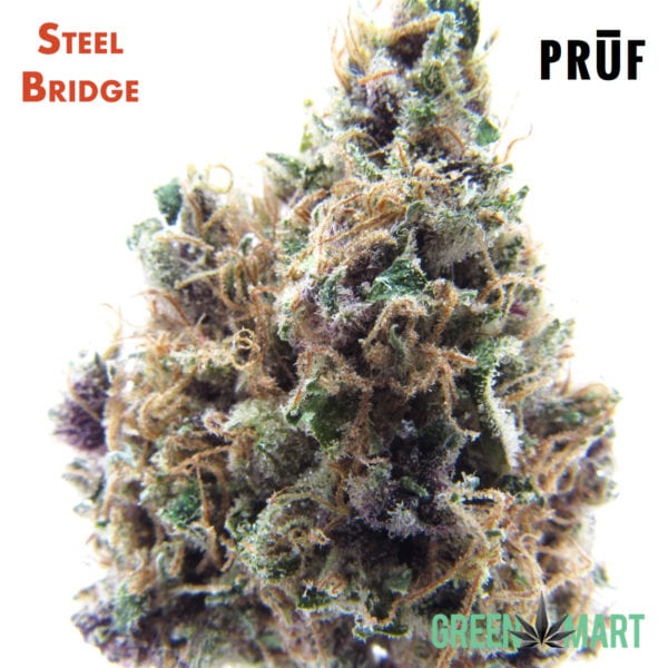 Steel Bridge by Pruf Cultivar