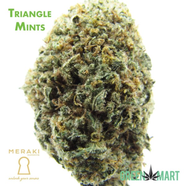 Triangle Mints by Meraki Gardens
