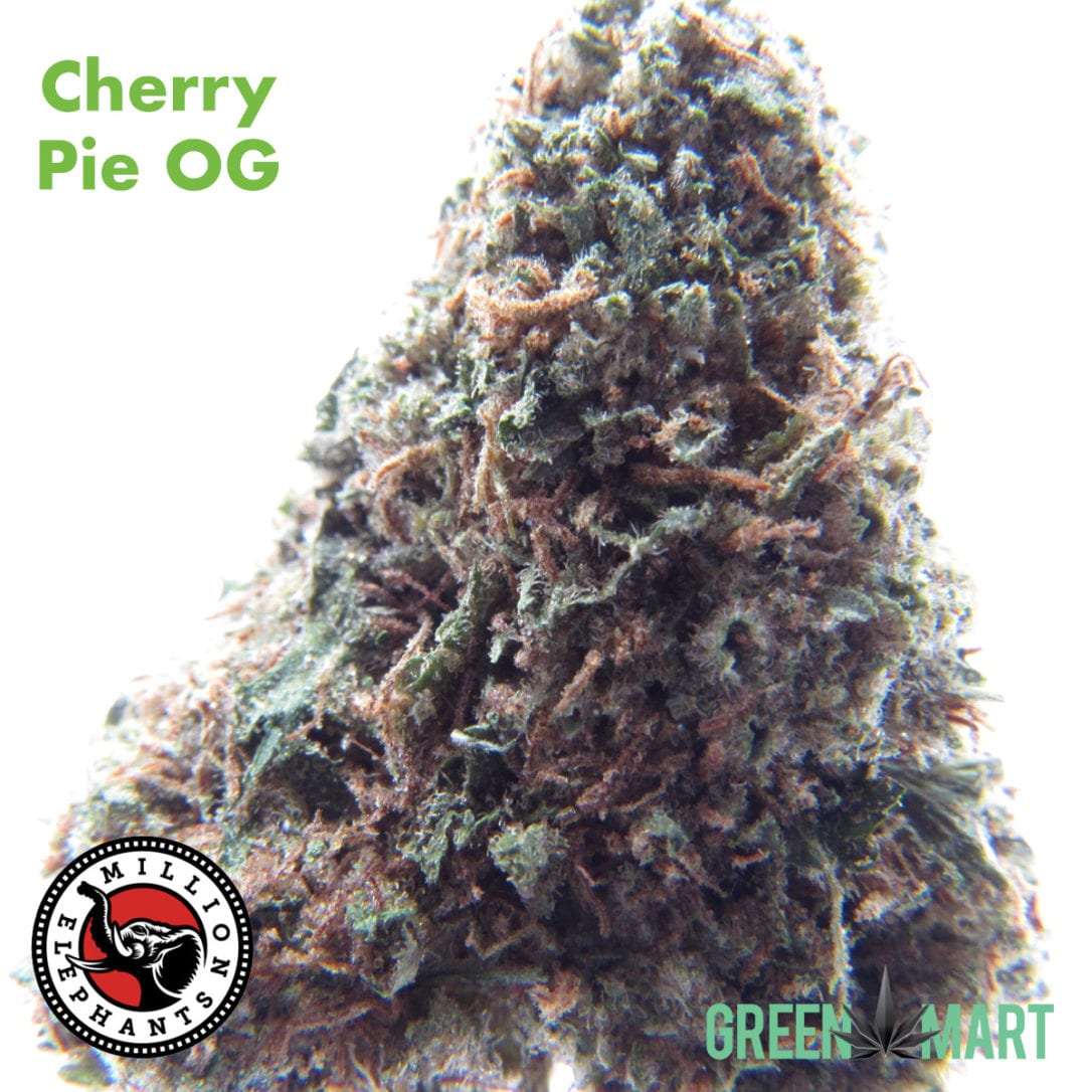 GM Dispensary | Beaverton – Oregon’s Best Dispensary