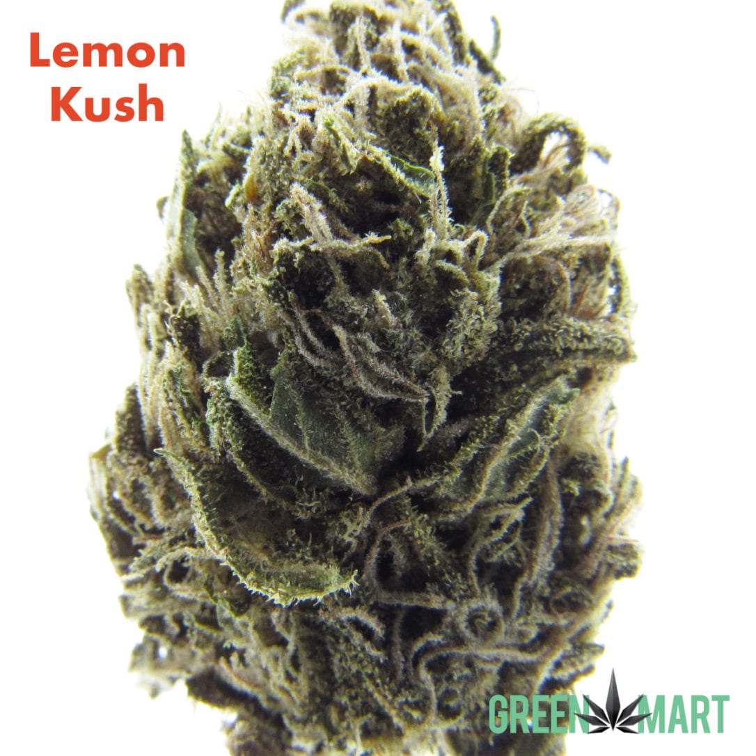 GM Dispensary | Beaverton – Oregon’s Best Dispensary